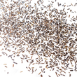 Load image into Gallery viewer, Organic Broken Wild Rice 2.5 kg